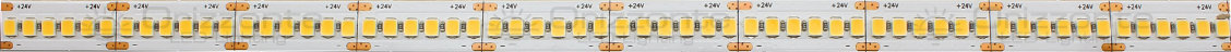 Led strip 2835 24V IP20 3000K 3step 240led/m
