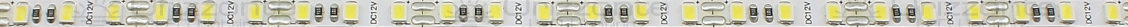 Striscia led 2835 12V IP20 6500K 3 step 120led/m