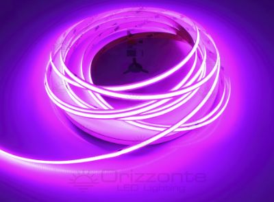 Bild von LED-Streifen COB 10m Lila 480LEDs/m 24V 12W/m