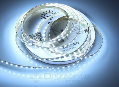 Immagine di Striscia led 5m bianco freddo 6500K 3step 2835 120led/m 12V 10W/m, PCB 5mm