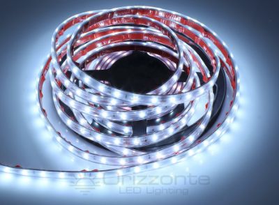 Bild von LED-Streifen 5m kalt-weiß 6500K 3step 2835 60LEDs/m 12V 4,8W/m, IP65 dicker Syliconrohr